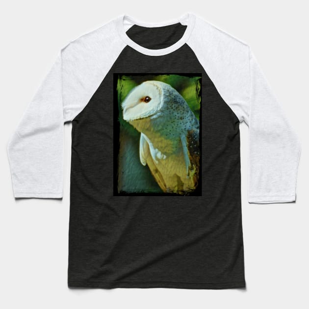 Froggy the owl Baseball T-Shirt by Kielly